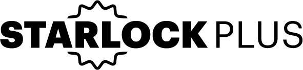 FEIN Fliesenfugen Reiniger Starlock Plus 2 Stück