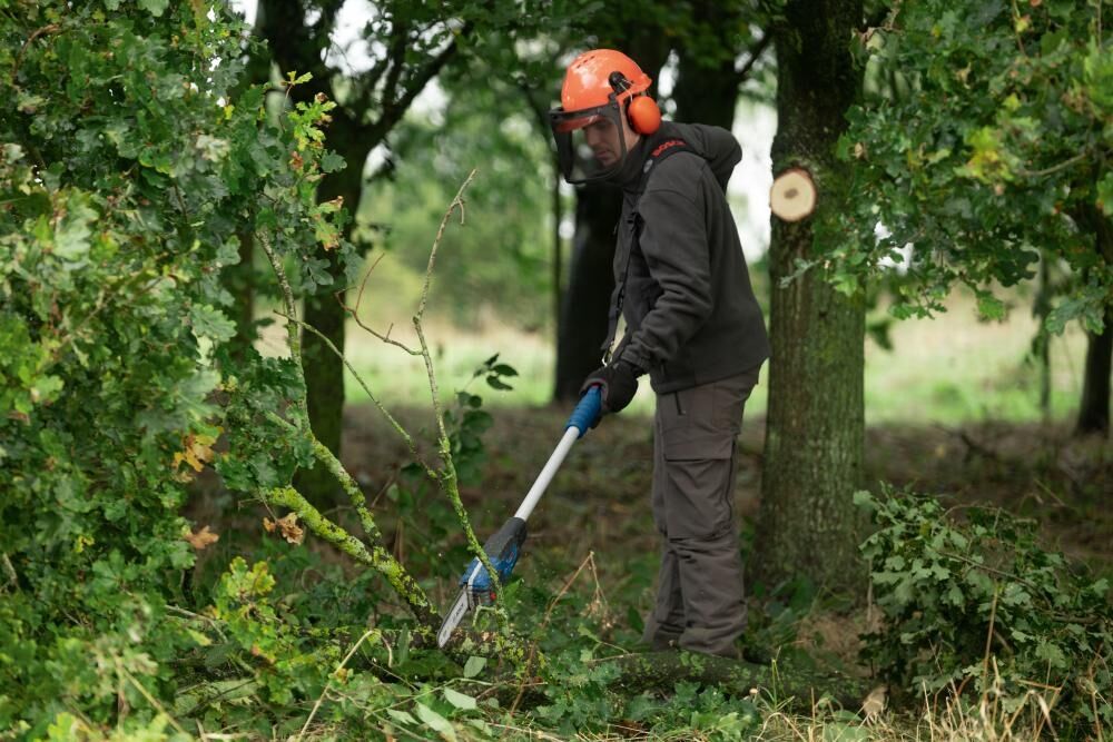 BOSCH Akku-Teleskophochentaster GKE 18V-25 TP ohne Akku & Ladegerät