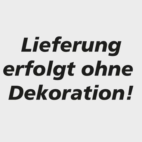 Befestigungsrohr, verzink L 1500mm + 2 Stck Schelle