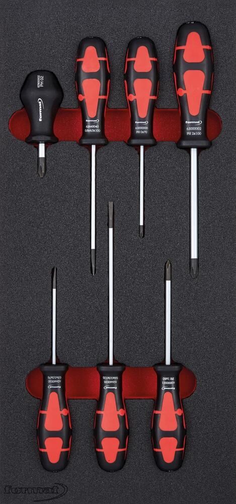 FORMAT Modul Schraubendreher 1/3