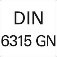 AMF Gabelspanneisen 14x160mm min Nase DIN6315GN