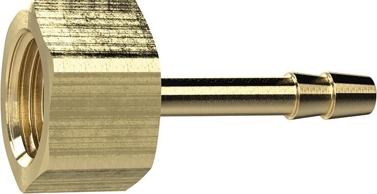 RIEGLER Aufschraubschlauchtülle G1/8" IG Schlauch LW 6 Messing
