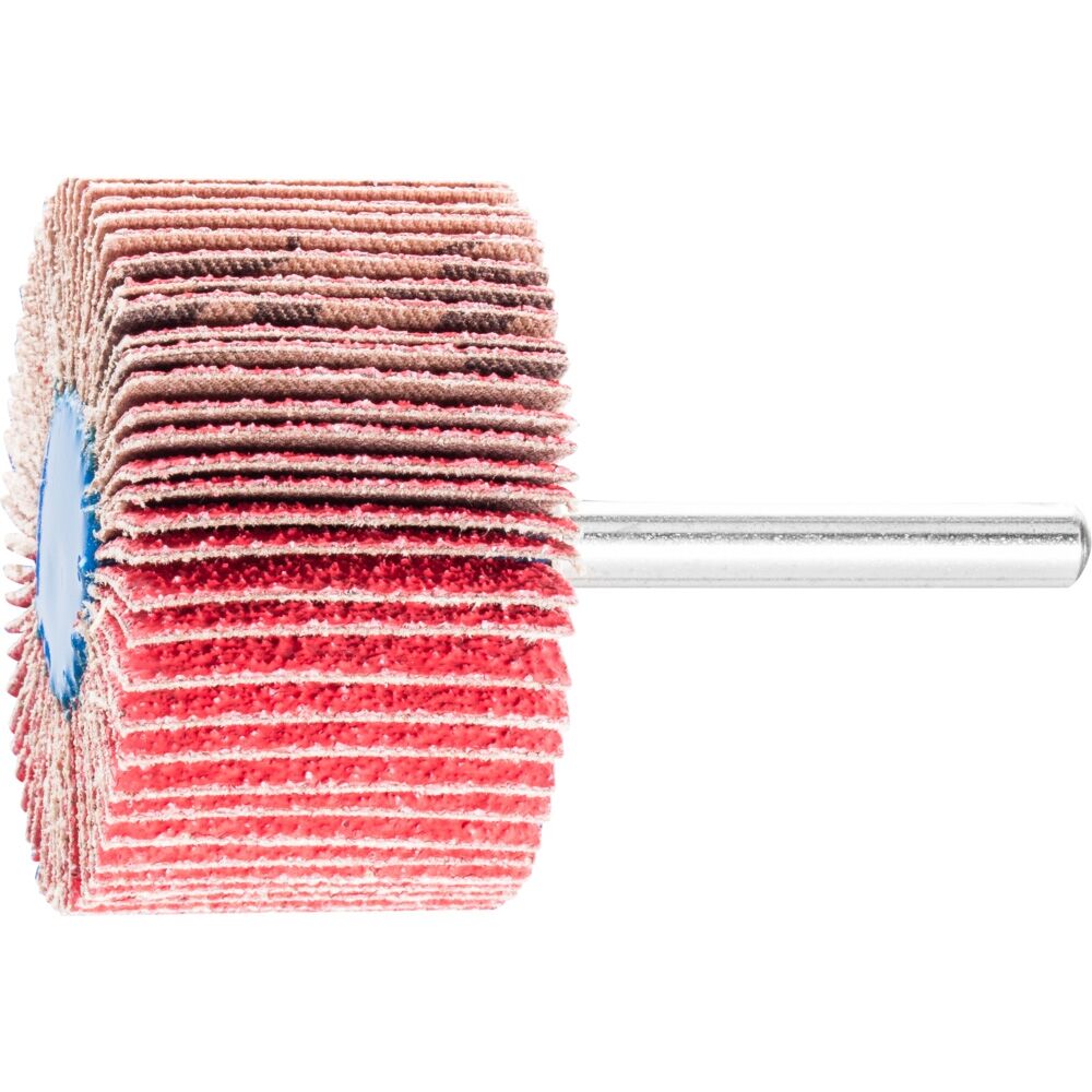 PFERD Fächerschleifer CO-COOL 50x30mm K60