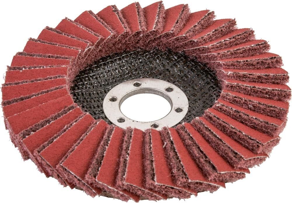 FORMAT Fächerschleifscheibe kombiniert 125mm mittel