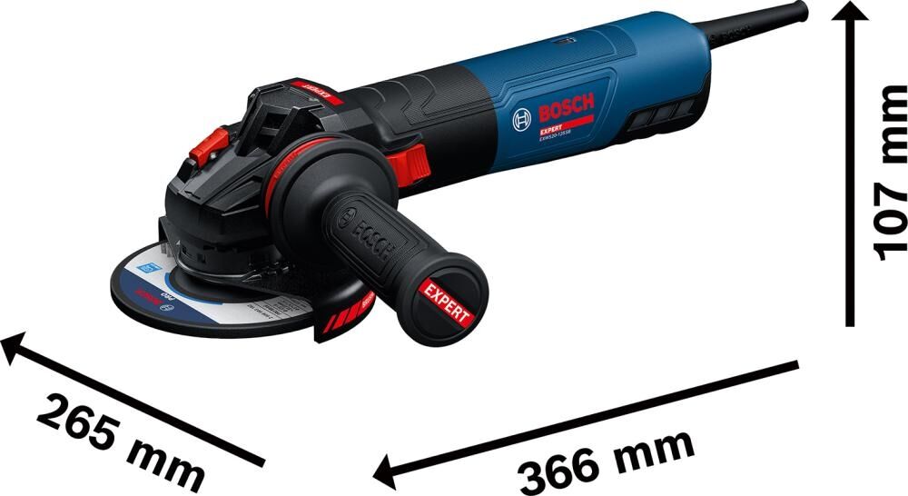 BOSCH EXPERT Winkelschleifer EXWS20-125SB, im Karton