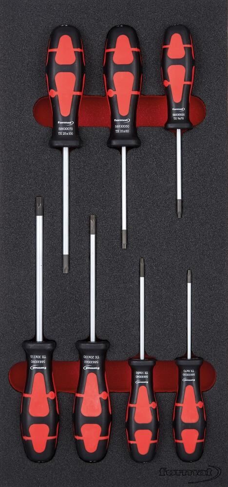 FORMAT Modul Schraubendreher Torx 1/3