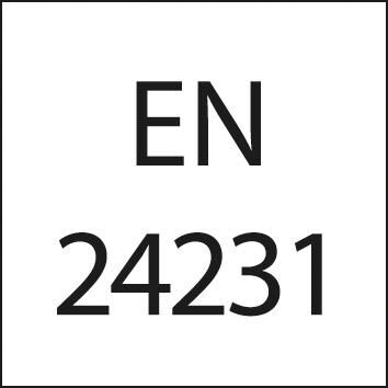 FORMAT Schneideisen G 3/4 Zoll EN24231 HSS