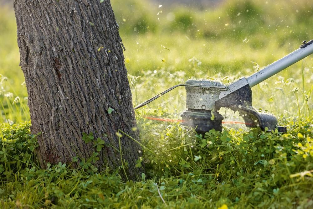 BOSCH Akku-Rasentrimmer GRT 18V-33 ohne Akku & Ladegerät im Karton