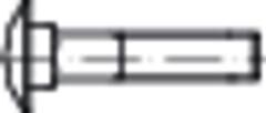 E-NORM PRO Flachrundschraube M8x30 A2 DIN603