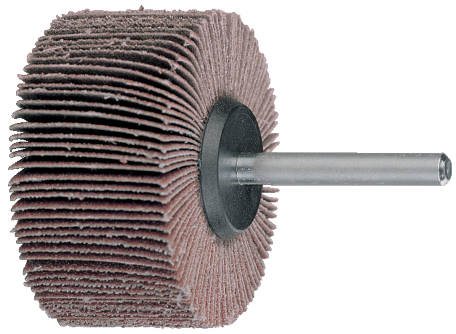 FORMAT Fächerschleifer 6mm Schaft 30x10mm K320