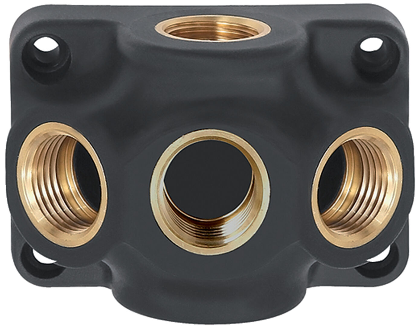 RIEGLER Endverteilerdose Kunststoff IG 1xG1/2 3xG1/2