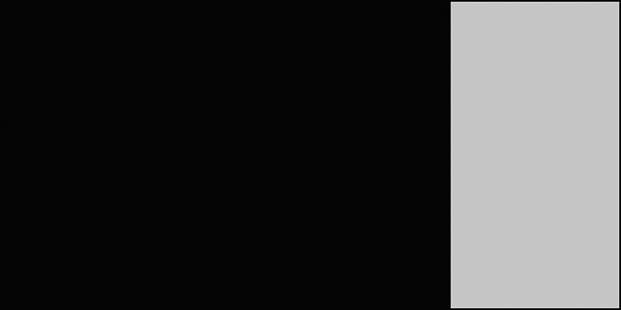 FORMAT Modul Service 2/3 leer