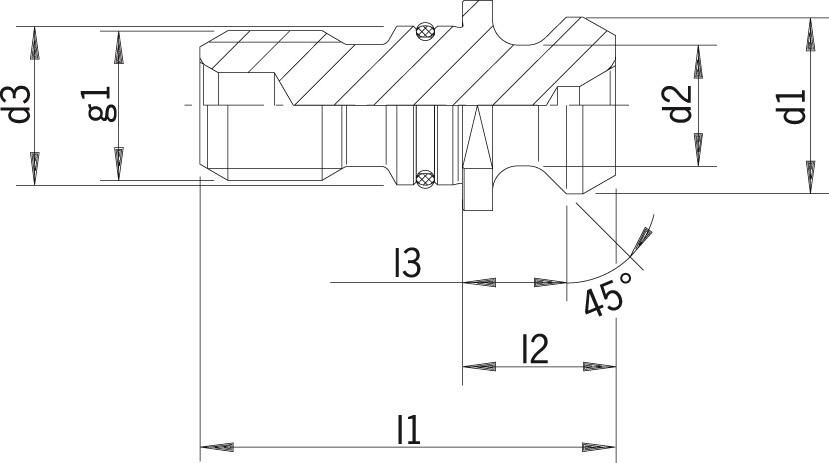HAIMER Anzugsbolzen ISO 7388II B SK50-M24 abgedichtet