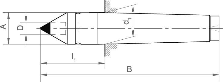 FORMAT Feste Körnerspitze HM-Einsatz MK 2 DIN806