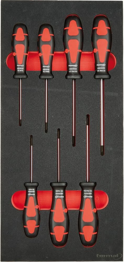 FORMAT Modul Schraubendreher Torx 1/3