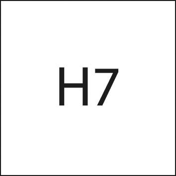 FORMAT Grenzlehrdorn 7mm DIN2245H7