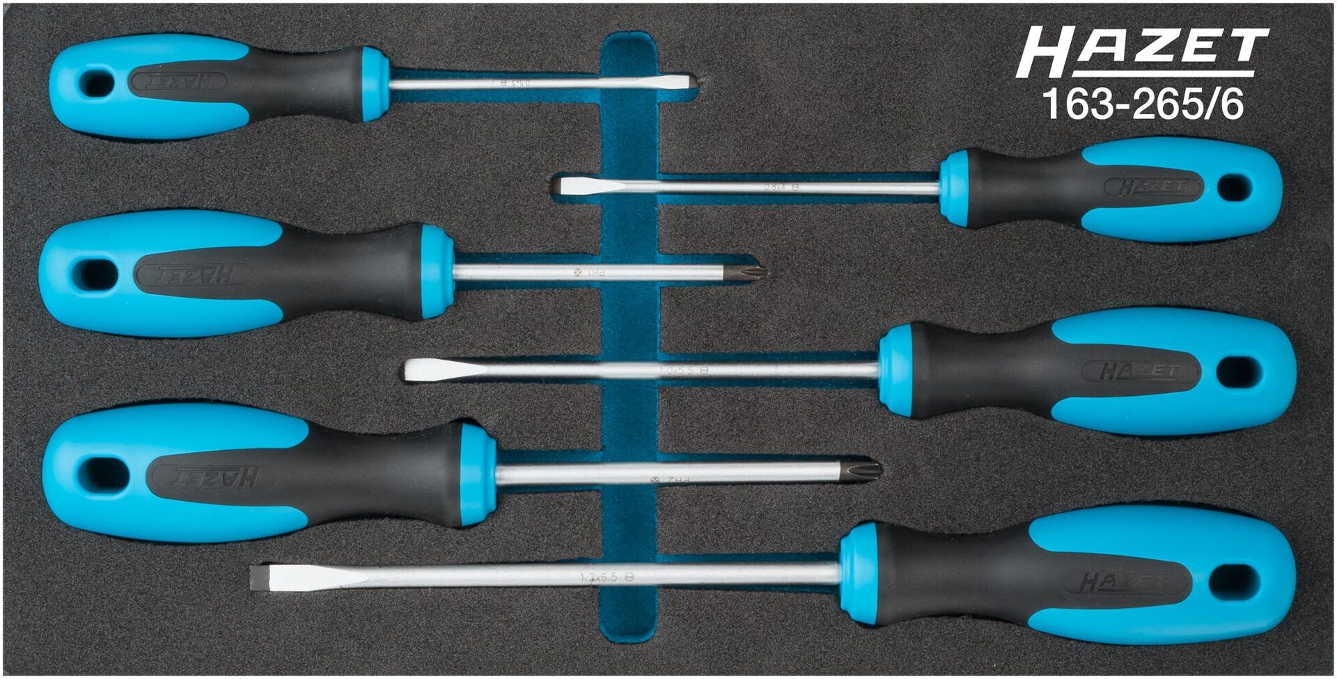 HAZET Modul " Schraubendreher-Set" für Werk- stattw.177-7/119 L340mm B170mm H40mm