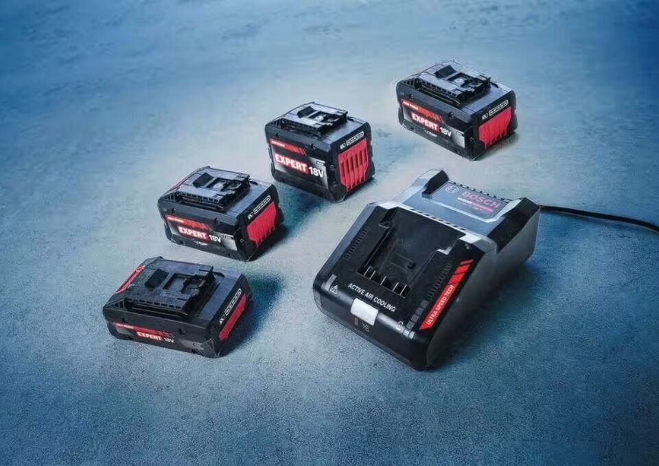 Unbenannt-7-Bosch Button Akkus  LG