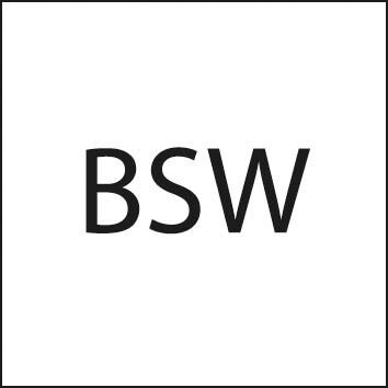 FORMAT Schneideisen 1/2 Zoll EN22568 HSS BSW