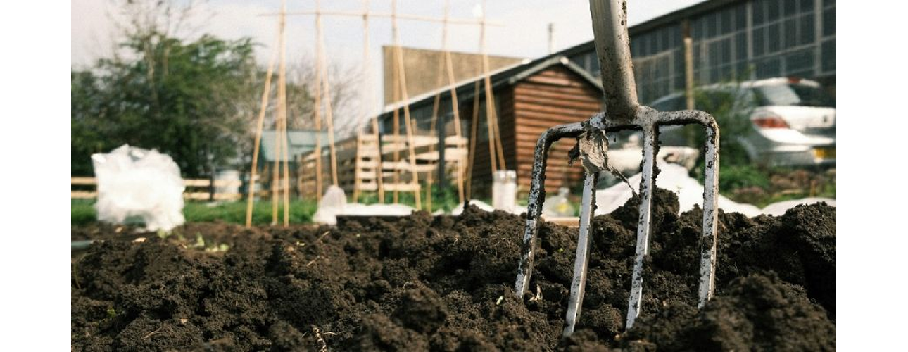garten_1290x500_transparent