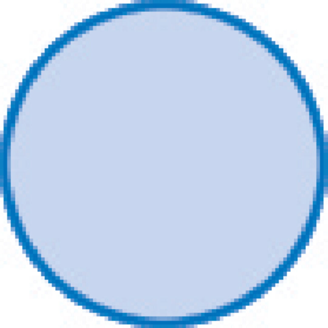 FRIEDRICH MÜLLER Hart Arkansas Rundfeile 100x10mm Müller