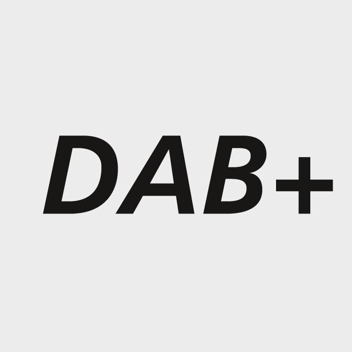 MILWAUKEE Akku-/Netz Radio M12RCDAB+-0 ohne Akku & Ladegerät im Karton
