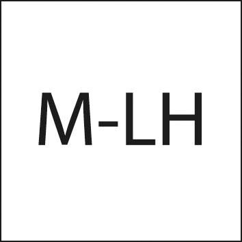 FORMAT Schneideisen M8 Linksgewinde EN22568 HSS