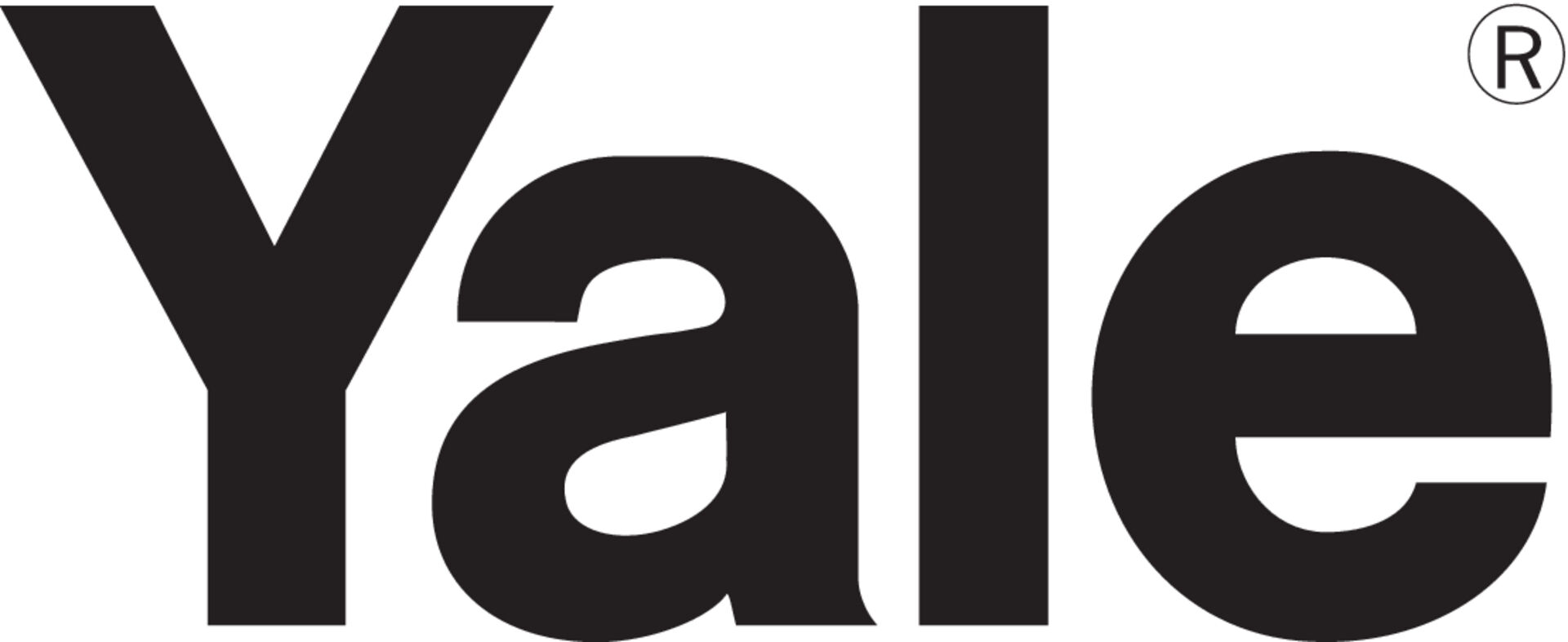 YALE Allzweckgerät Handy 500kg Tragfähigkeit 1,5m Hub