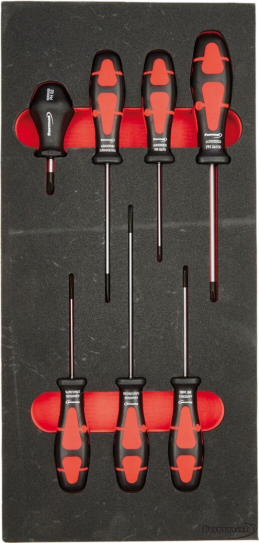 FORMAT Modul Schraubendreher 1/3