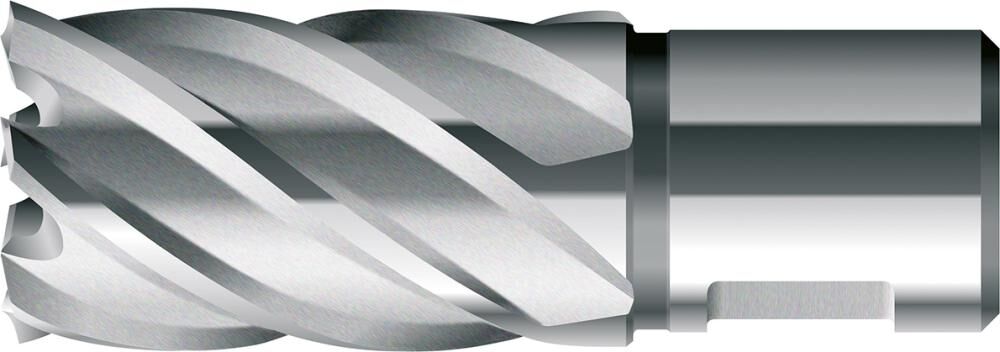 BDS Kernbohrer HSS 23,0mm Schnittiefe 30mm