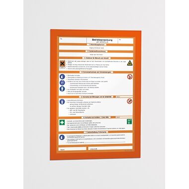 DURABLE Magnetrahmen MAGAFRAME 487209 DIN A4 orange 2St./Pack.