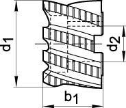 FORMAT Walzenstirnfräser 100x50mm Typ NF DIN1880 HSSE